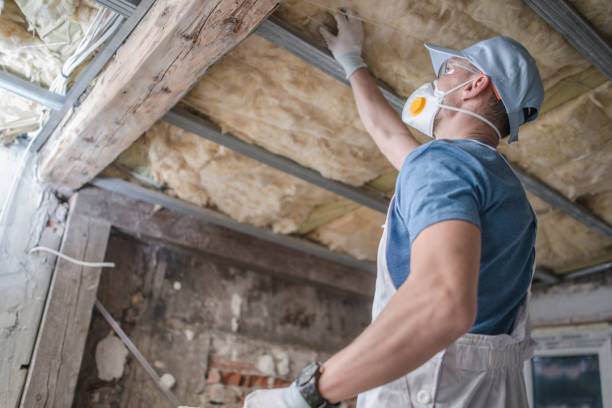 Best Eco-Friendly Insulation in Lake Mawk, OH