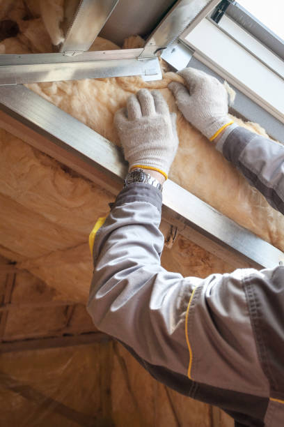 Best Cellulose Insulation in Lake Mawk, OH