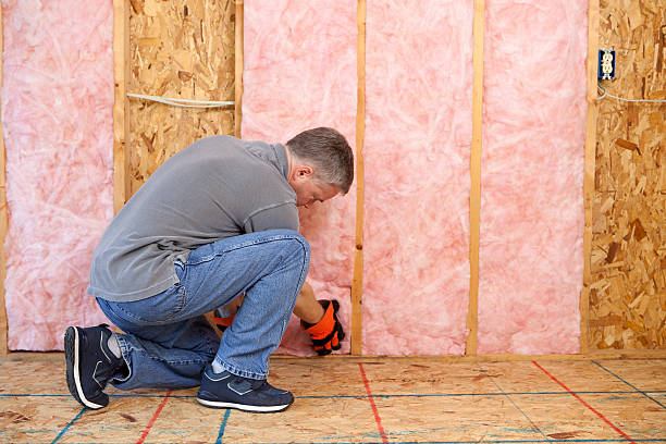 Best DIY Insulation Kits and Guidance in Lake Mawk, OH