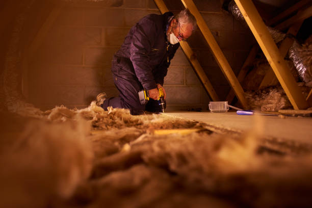 Best Insulation Maintenance and Repair in Lake Mawk, OH