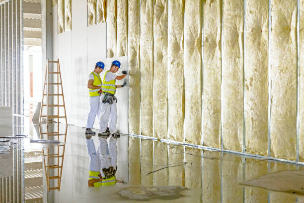 Best Specialized Insulation Services in Lake Mawk, OH